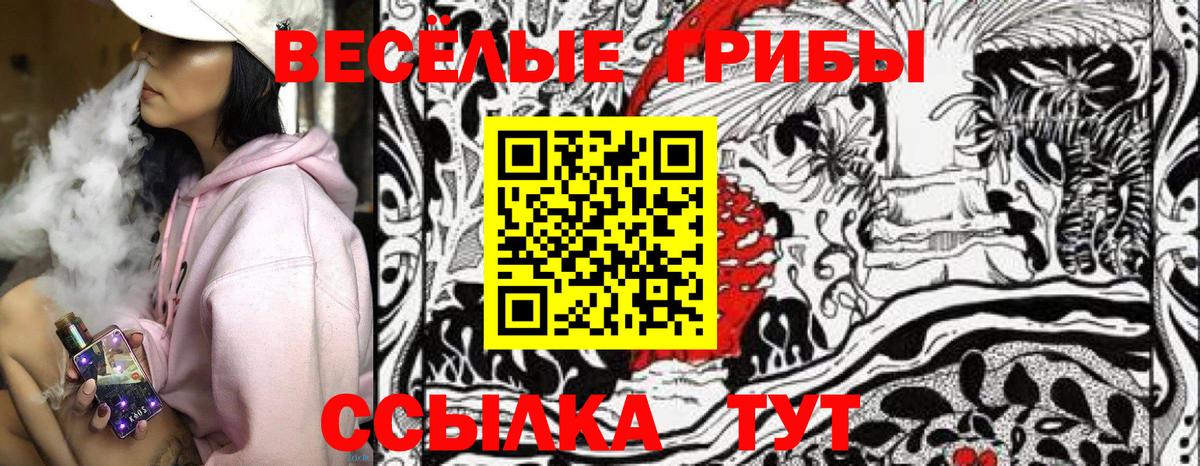 Псилоцибиновые грибы Cubensis Иваново