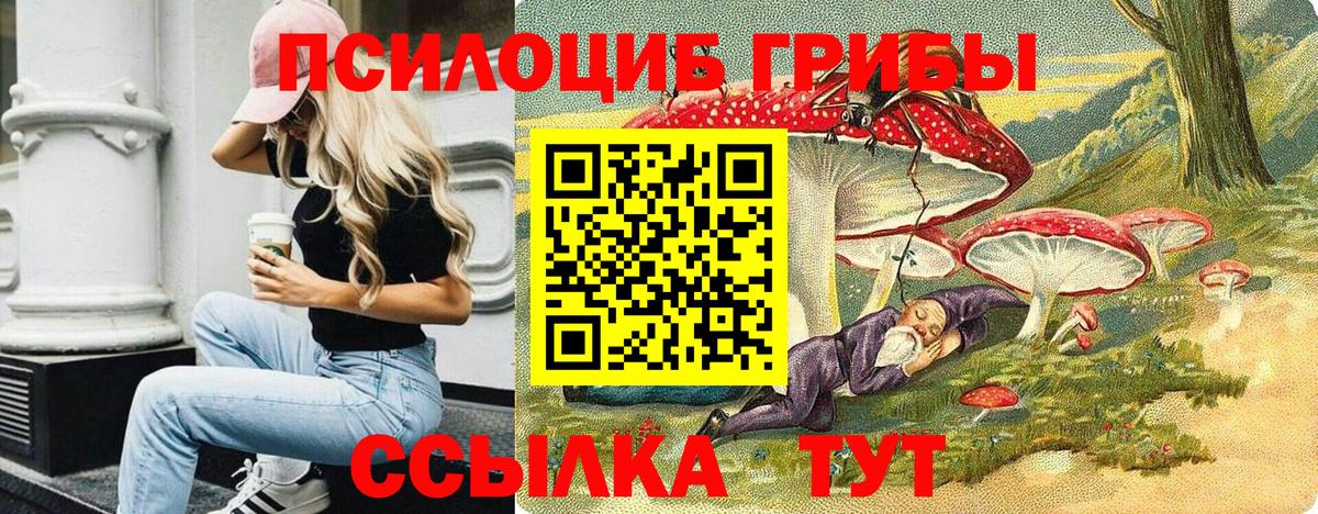 Псилоцибиновые грибы Cubensis  Вход с VPN  Псилоцибиновые грибы MAGIC MUSHROOMS  Иваново 
